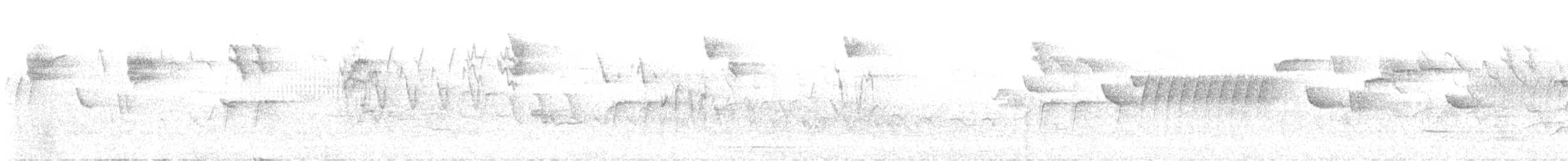 Spotted Flycatcher - ML637860827