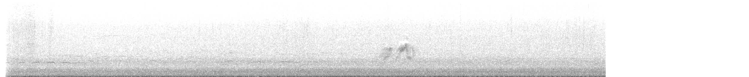 חטפית האלמון - ML637860985