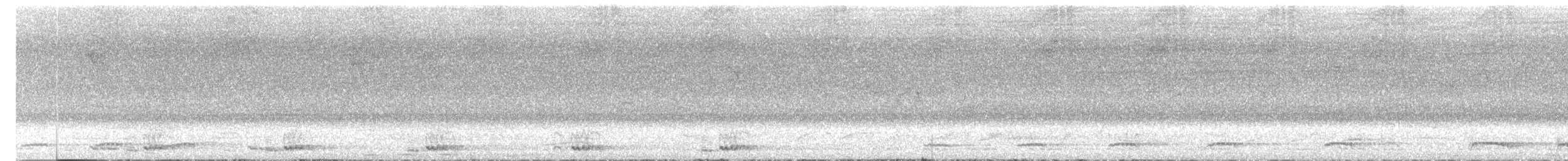 Jungle Owlet - ML637861811