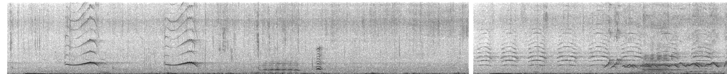 噪鵑 - ML637863483