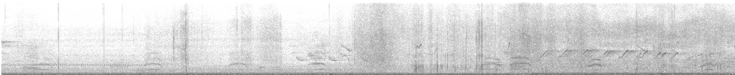 pisík americký - ML637864514