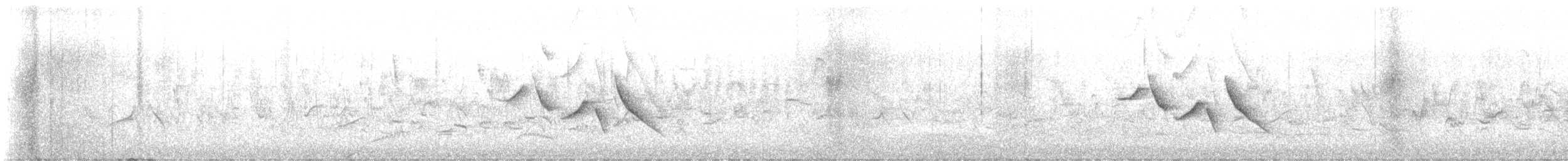 hýl rudý - ML637865089