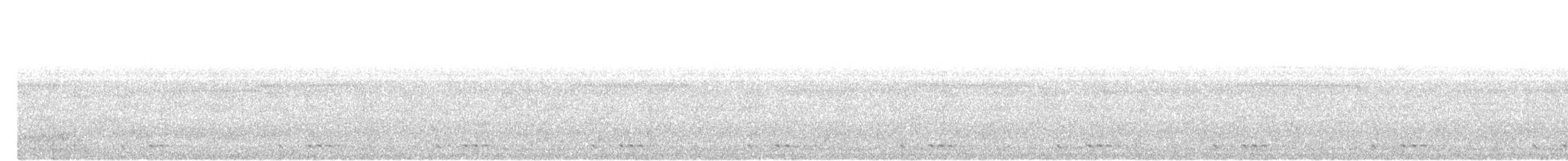 Black-browed Barbet - ML637866550
