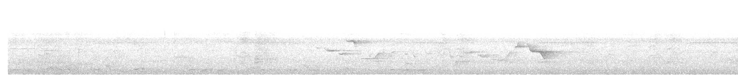 Large Scimitar-Babbler - ML637866586