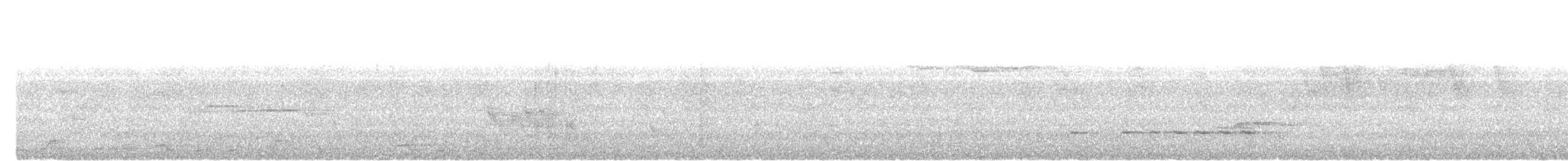 Large Scimitar-Babbler - ML637866593