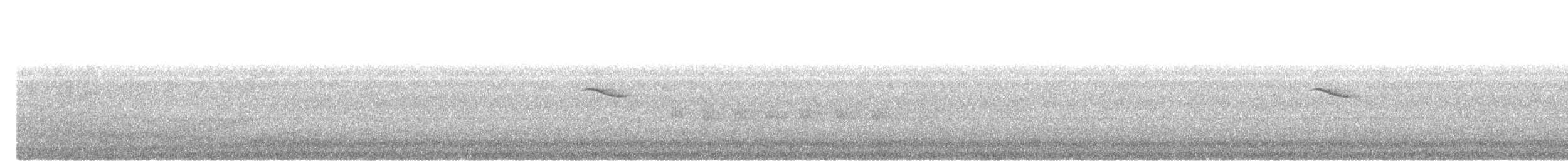 Large Niltava - ML637866766