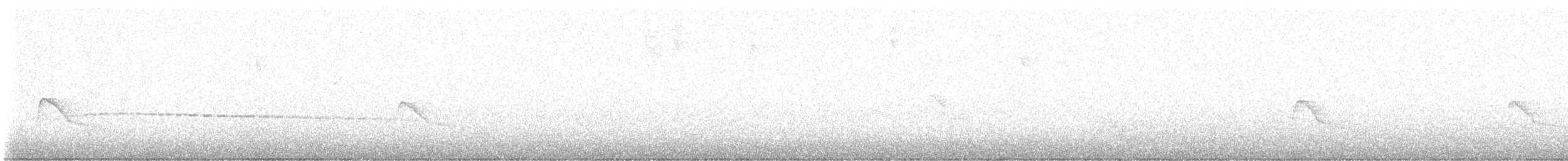 ハイボウシヒメジアリドリ - ML637868548
