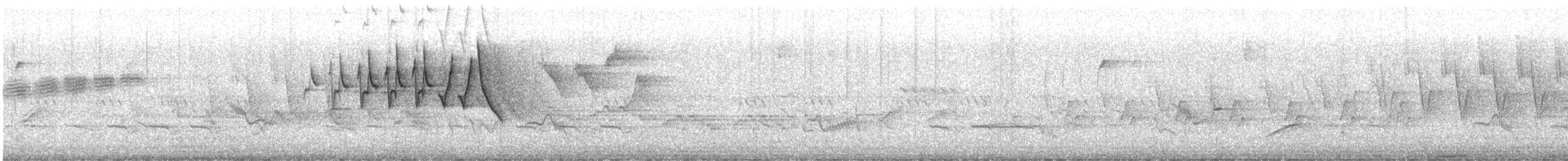 Chestnut-sided Warbler - ML637868814