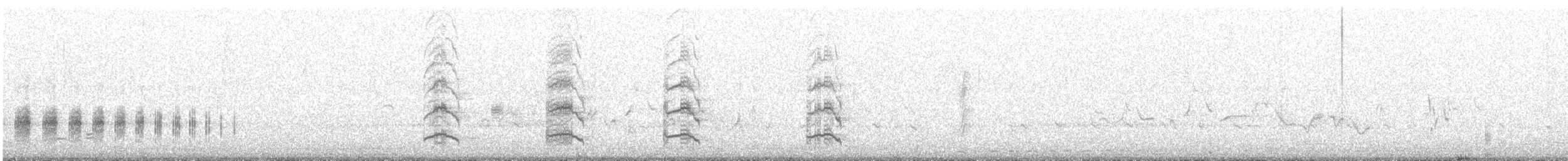 Sora - ML637868935