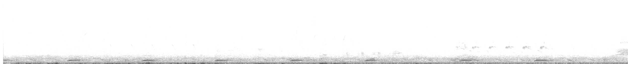 Greater Painted-Snipe - ML637870373