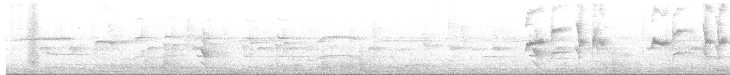 Green-bellied Hummingbird - ML637871317