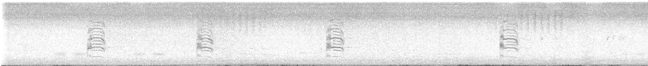 Water Rail - ML637871765