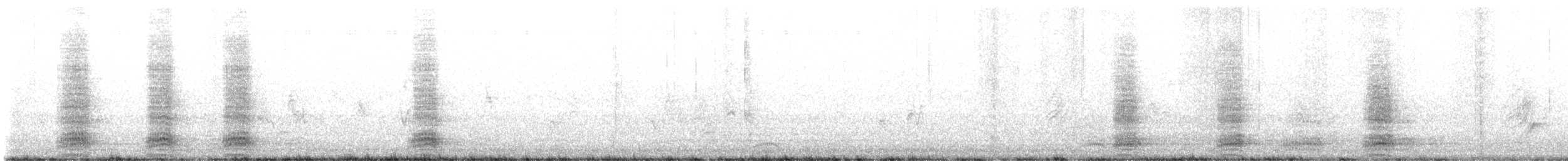 עורב שחור - ML637871798