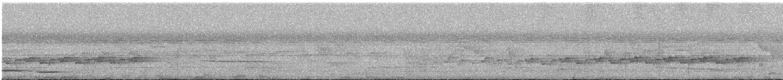 Gray Longbill - ML637875782