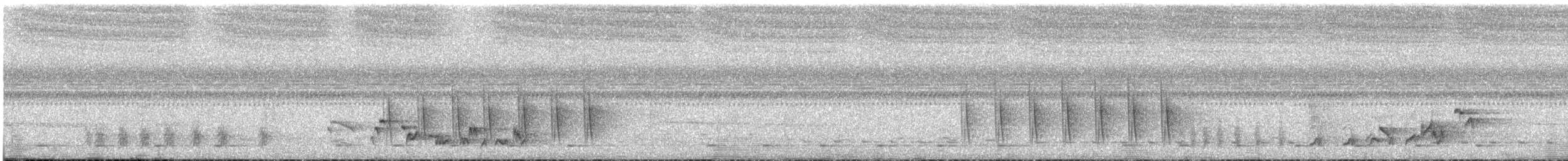 pěnicovec krátkoocasý [skupina brevicaudata] - ML637875788