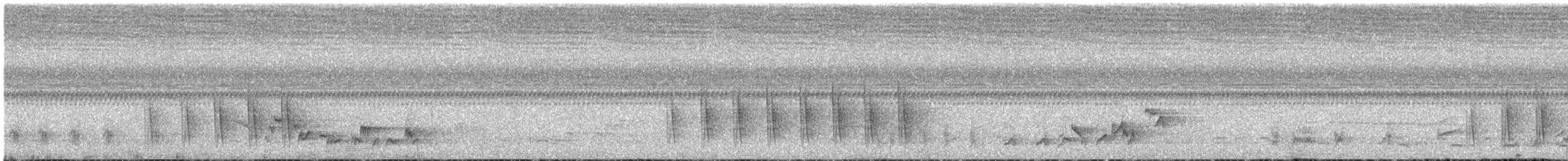 pěnicovec krátkoocasý [skupina brevicaudata] - ML637875789