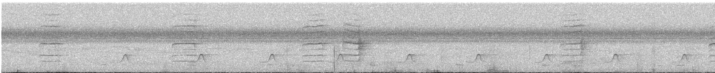 Green-backed Camaroptera (Gray-backed)