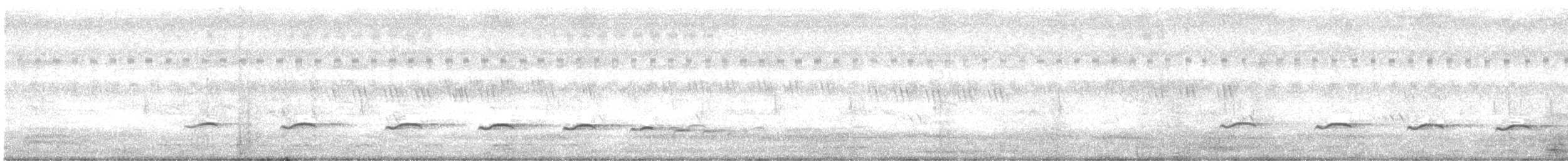 Plaintive Cuckoo - ML637876151