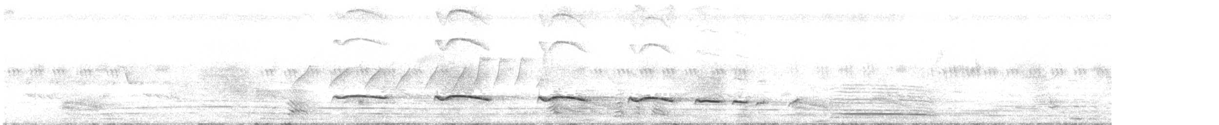 Plaintive Cuckoo - ML637876178