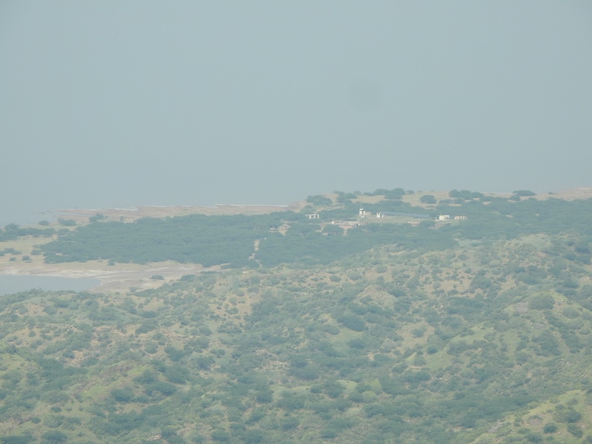 null - ML637876770