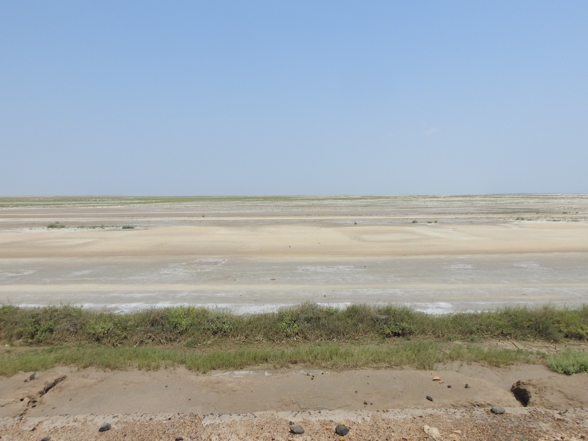 null - ML637877136
