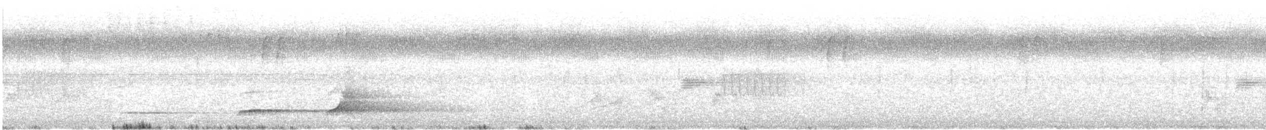 Northern Bobwhite - ML637877632