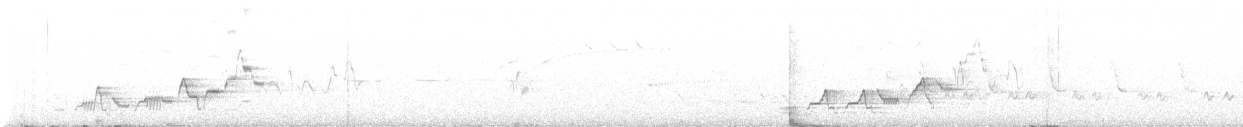 Swainson's Thrush - ML637877770