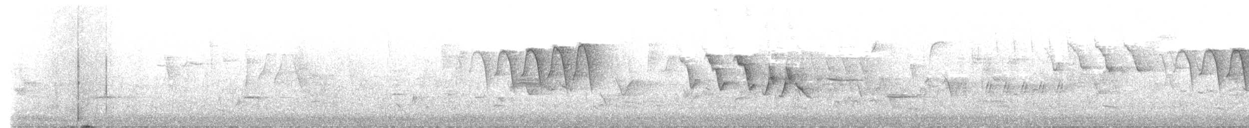 Paruline flamboyante - ML637881296