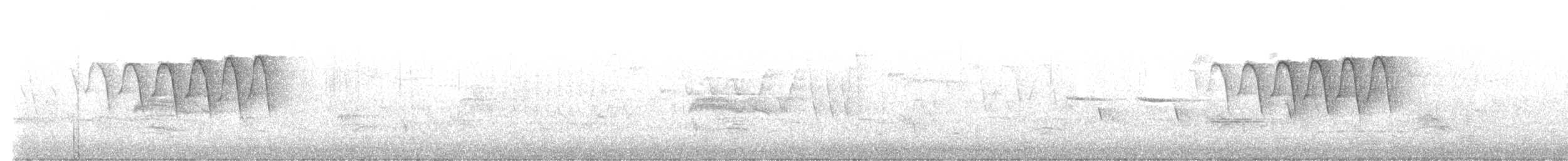 Paruline flamboyante - ML637882610