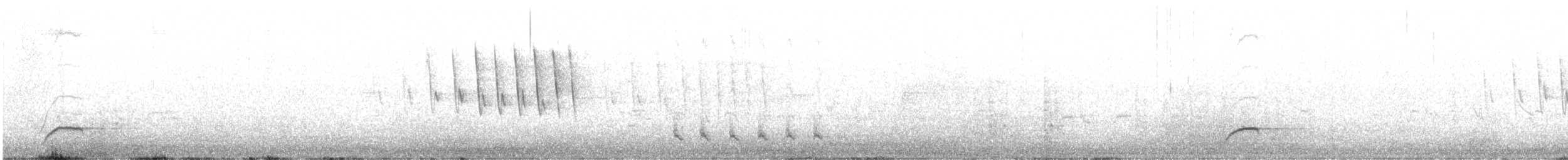 Flötenstärling - ML637886277