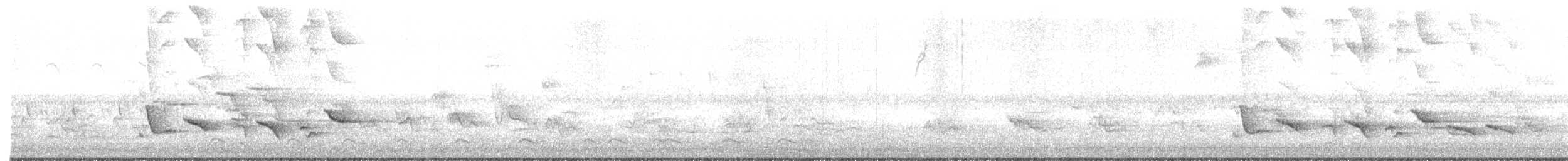 פזאי צפוני - ML637887581