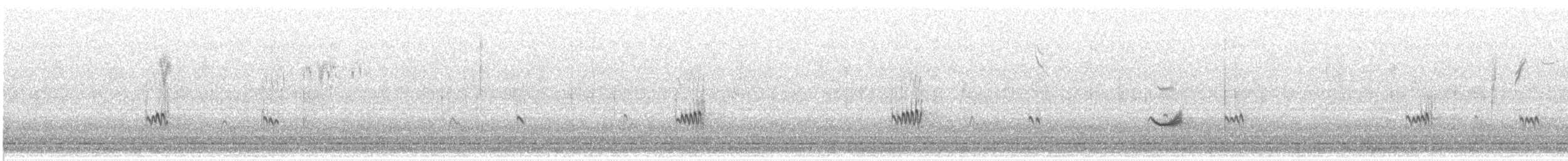 アメリカウズラシギ - ML637888258