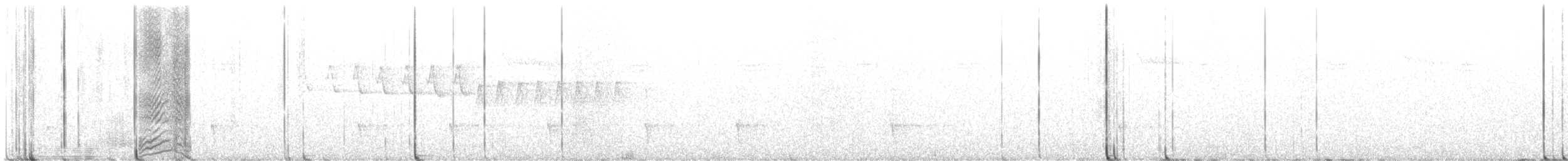 datlík černohřbetý - ML637889428