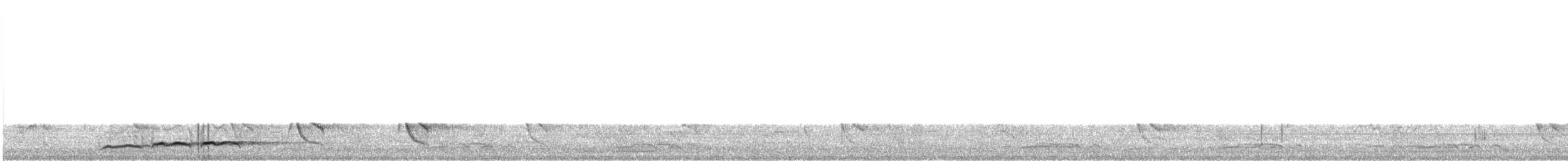 Pacific Koel - ML637890246