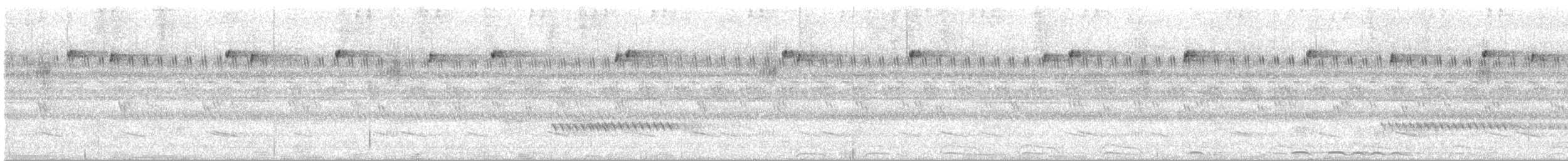 Chouette leptogramme - ML637890949