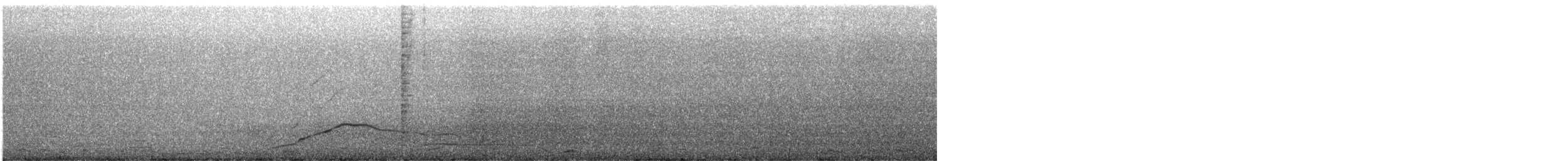 Common Pauraque - ML637891492
