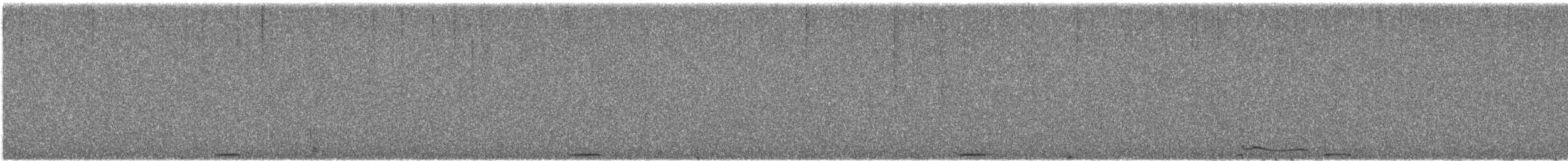 アメリカコノハズク - ML637892371