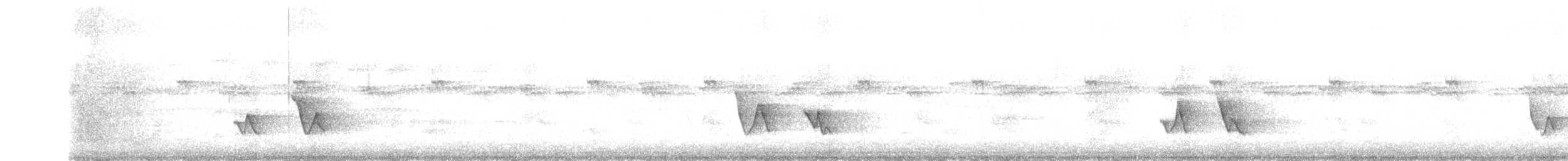 Black-whiskered Vireo - ML637892708