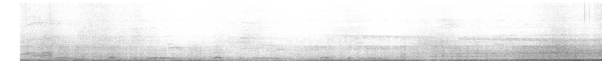 Pale-vented Pigeon - ML637893641