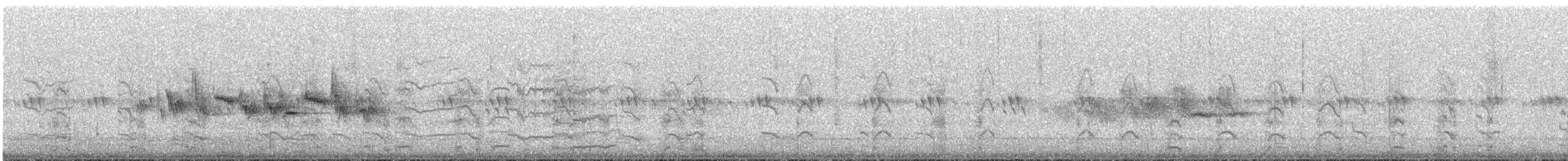 Black-throated Gray Warbler - ML637894076