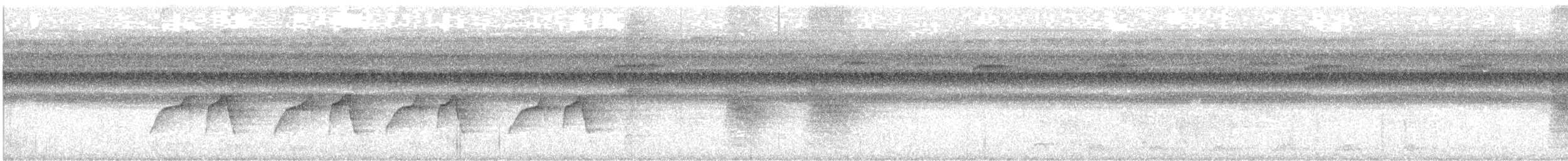 Dot-backed Antbird - ML637894729