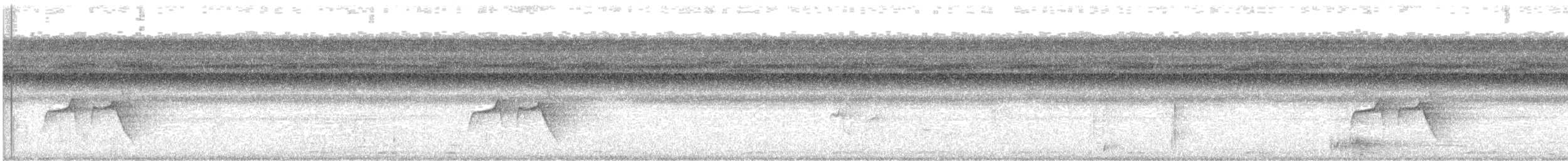 Dot-backed Antbird - ML637894774