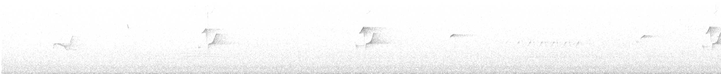 Western Flycatcher - ML637900150