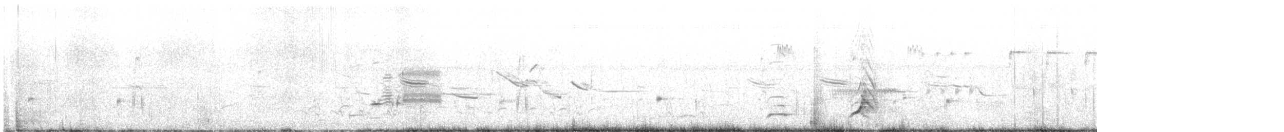 Northern Bobwhite - ML637901113