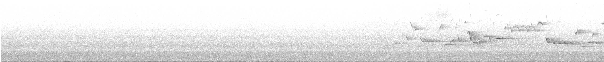 フユミソサザイ - ML637901769