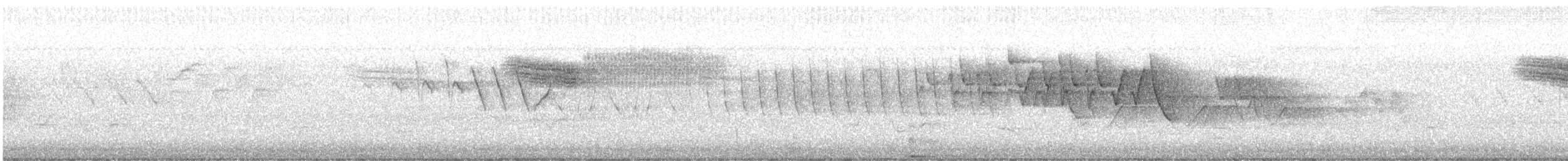 Brewster's Warbler (hybrid) - ML637902245