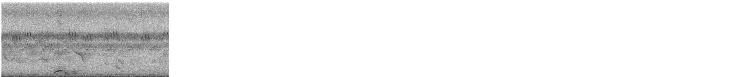 Greater Painted-Snipe - ML637904653