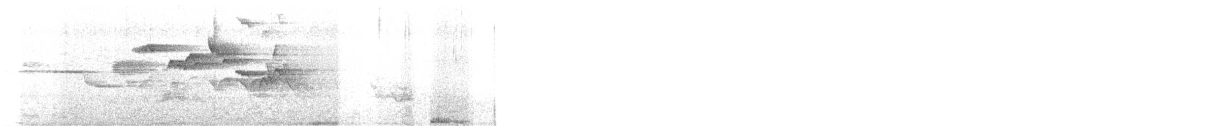 Grimpereau brun - ML637904757