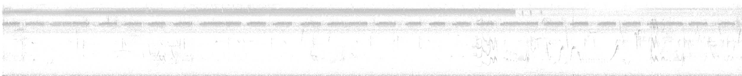 Hocco de Daubenton - ML637904847