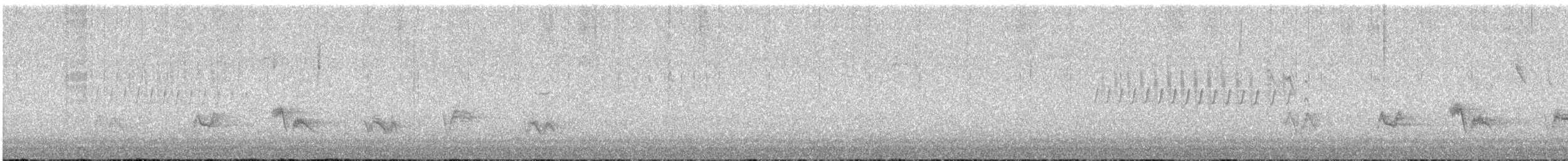 vestpiranga - ML637905782